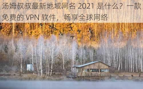 汤姆叔叔最新地域网名 2021 是什么？一款免费的 VPN 软件，畅享全球网络