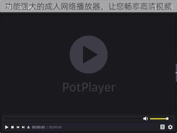 功能强大的成人网络播放器，让您畅享高清视频