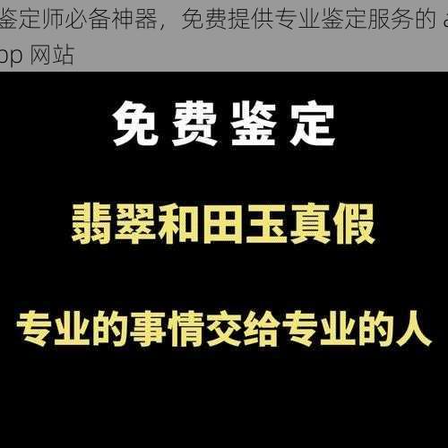 鉴定师必备神器，免费提供专业鉴定服务的 app 网站