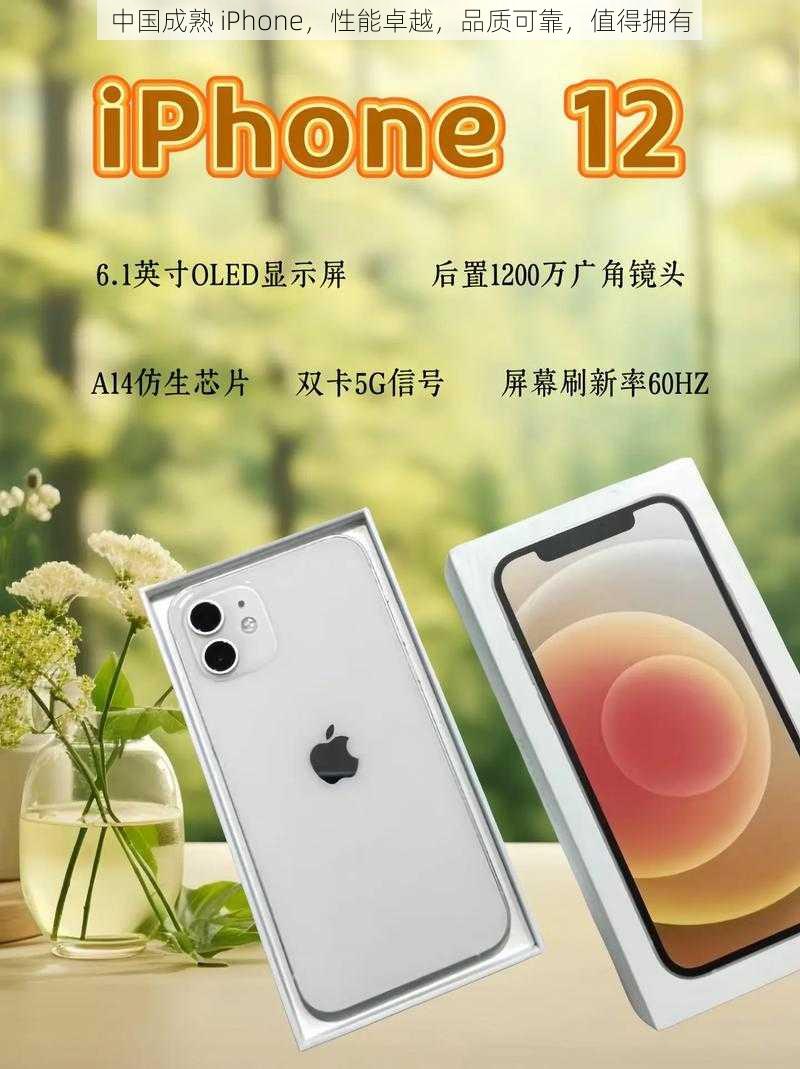 中国成熟 iPhone，性能卓越，品质可靠，值得拥有